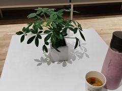 -极简口腔(总院)