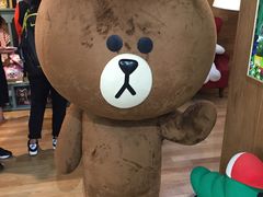 -line friends(明洞旗舰店)