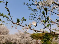 -河海大学(常州校区)