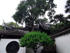 -豫园