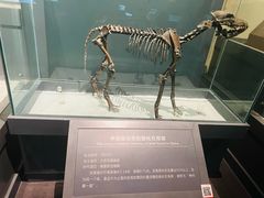 -大庆市博物馆