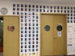 -小荧星艺校(浦东中环分校)