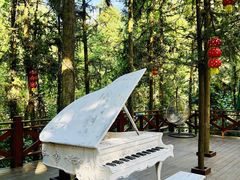 -英西峰林九重天景区