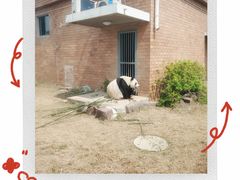 -苏州太湖国家湿地公园