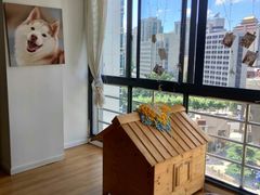 -Husky Go! 哈士奇体验馆·宠物咖啡厅狗咖