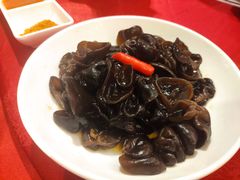 捞汁木耳-九十九顶毡房(阜石路店)