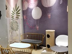 -藏猫猫咖啡主题馆(中央大道店)