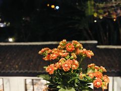 -伴山茶苑·围炉煮茶