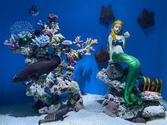 -上海海昌海洋公园