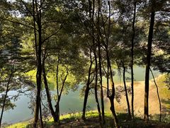 -广州市流溪河国家森林公园