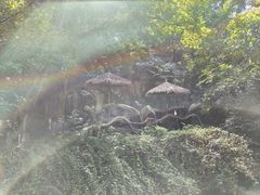-宁波野生动物园