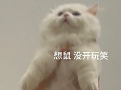-CoCo壱番屋(久光百货店)