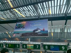 -西沃古尔·拉姆古兰爵士国际机场