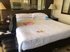 -新加坡乌节希尔顿酒店 (SG Clean)