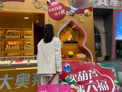 -盛京大奥莱(沈阳奥体店)