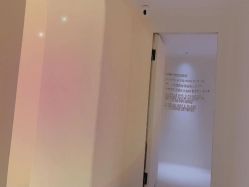 -紫御国际抗衰ZOE ANTI AGING