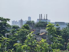 -东莞市可园博物馆