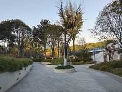 -昆山城市公园