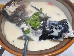 -全乐鱼馆·淳牌有机鱼直营店