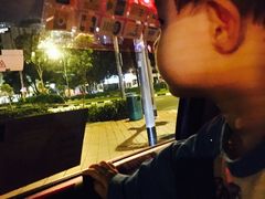 -新加坡瑞士史丹福酒店