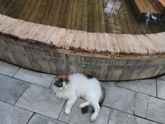 -龙达温泉生态城
