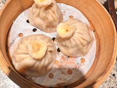 -南京大牌档(青岛万象城店)