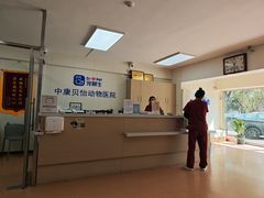 -宠颐生中康贝怡动物医院