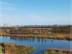 -春花秋色城市公园