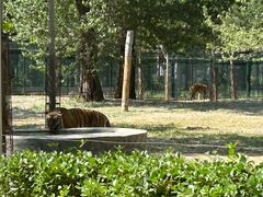-秦皇岛野生动物园