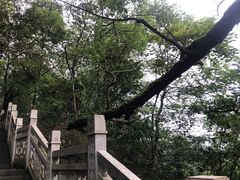 -重庆海昌加勒比海水世界