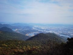 -清溪森林公园