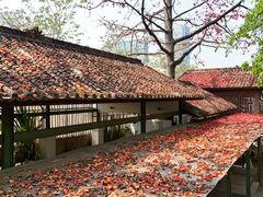 -喜洲吧·江畔老船厂·庭院餐厅(喜临院店)