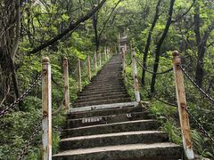 -陕西省红河谷森林公园