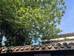 -竹子咖啡bamboo coffee