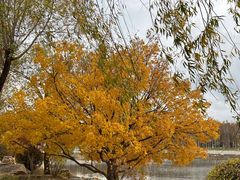 -长春市南湖公园