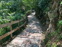 -大岭沟猕猴桃谷风景区