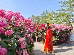 -大慈恩寺(大雁塔)