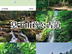 -莫干山风景区
