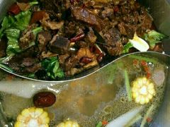 -手选潮汕鲜活牛肉火锅(二七广场店)