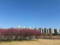 -长广溪湿地公园
