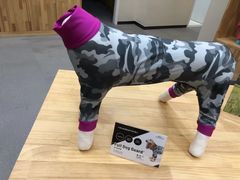 -爱妮康宠物医院·干细胞免疫细胞·肿瘤·心脏(张江店)