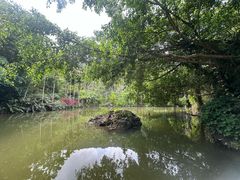 -呀诺达热带雨林