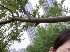 -温江公园