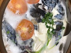 -全乐鱼馆·淳牌有机鱼直营店