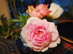 -小世界西餐厅(建国门店)