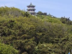 -青岛海滨风景区小鱼山