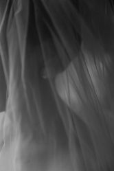 -Color卡诺婚纱礼服馆(南京严选店)