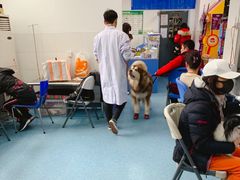 -北京赛佳动物医院