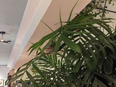 -懒人盐府人家·自贡大麻鱼(安贞店)