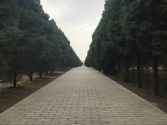 -秦始皇帝陵博物院-丽山园